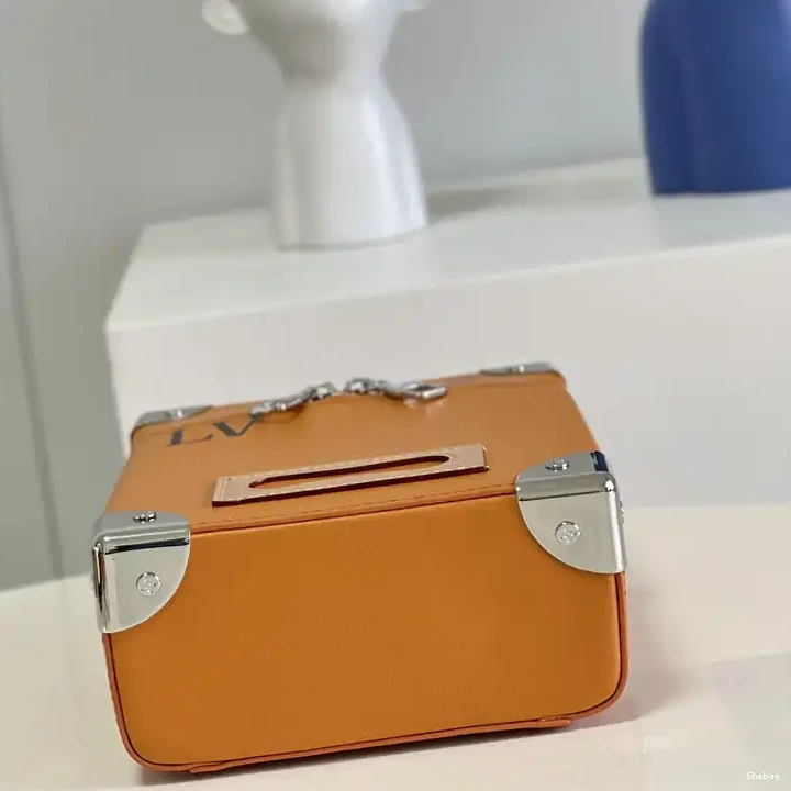 LV 2204YA0096 Bag 0808